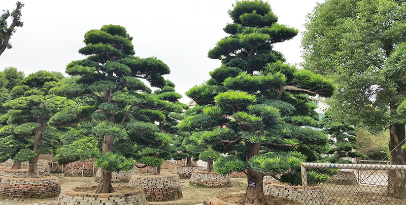 鸿运国际·(中国)官网登录入口